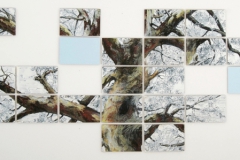 Boom van de Wieger 2013 420x158cm