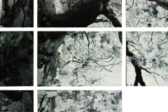 Dancing-Tree-1-Detail-1