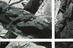 Dancing-Tree-1-Detail-2