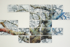 Dancing Tree #2 2013