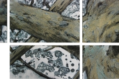 Dancing-Tree-3-Detail2