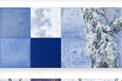 Hoe-de-tak-de-omgeving-in-zich-opnam-120-x-305-1205-x-605-1205-x-305-2005