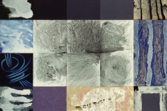 Hoe-het-organisme-uiteindelijk-zijn-eigen-plaats-vond-246-x-306-cm