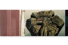 Kern-I-205-x-82-cm-2004-