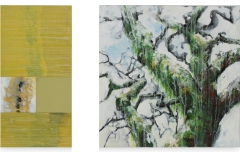 Mosboom-30-x-60-en-60-x-60-cm