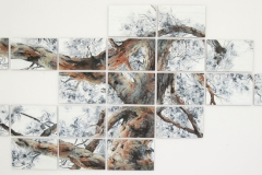 Tree-of-transparency-327-x-158-cm