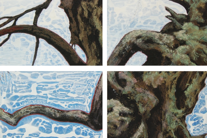 Detail_1_Old_tree_2014_