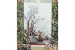 Wild nature #4 45x60cm 2022